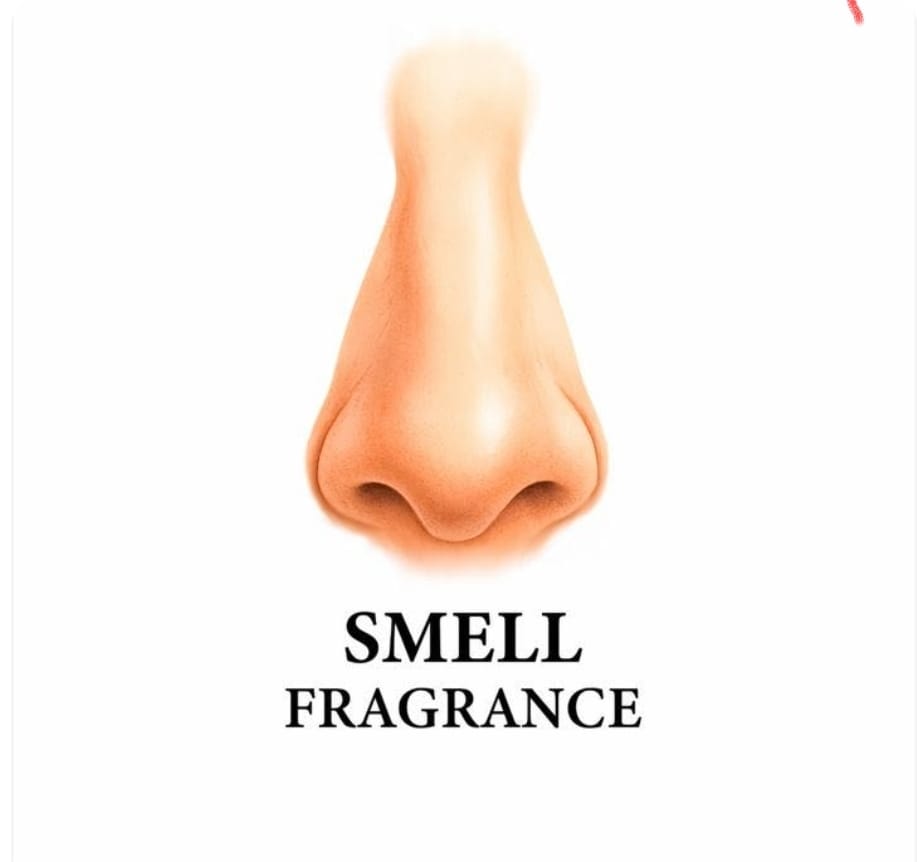 شمّ العطر
– Smell Fragrance